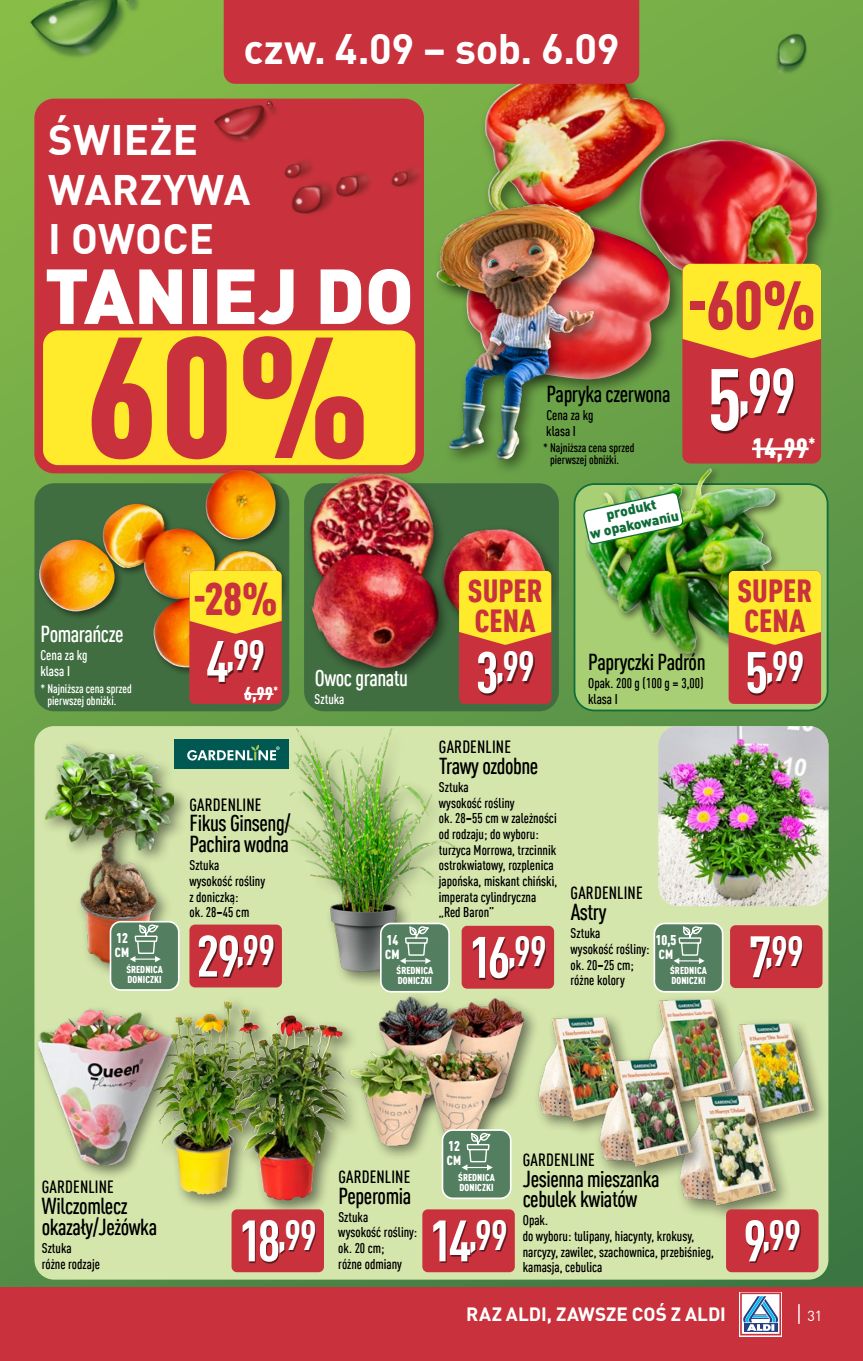 Aldi Rzeszów