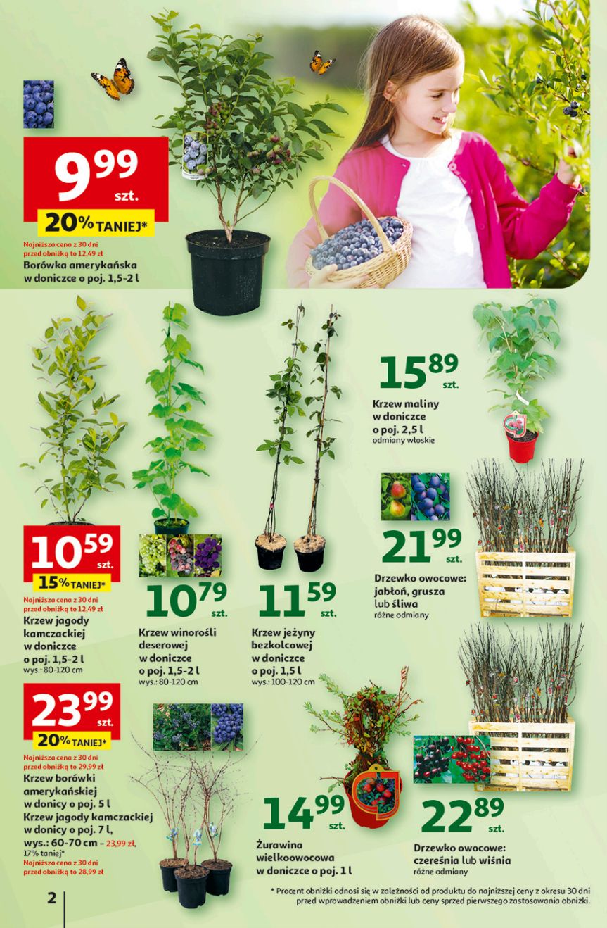 Auchan Krasne
