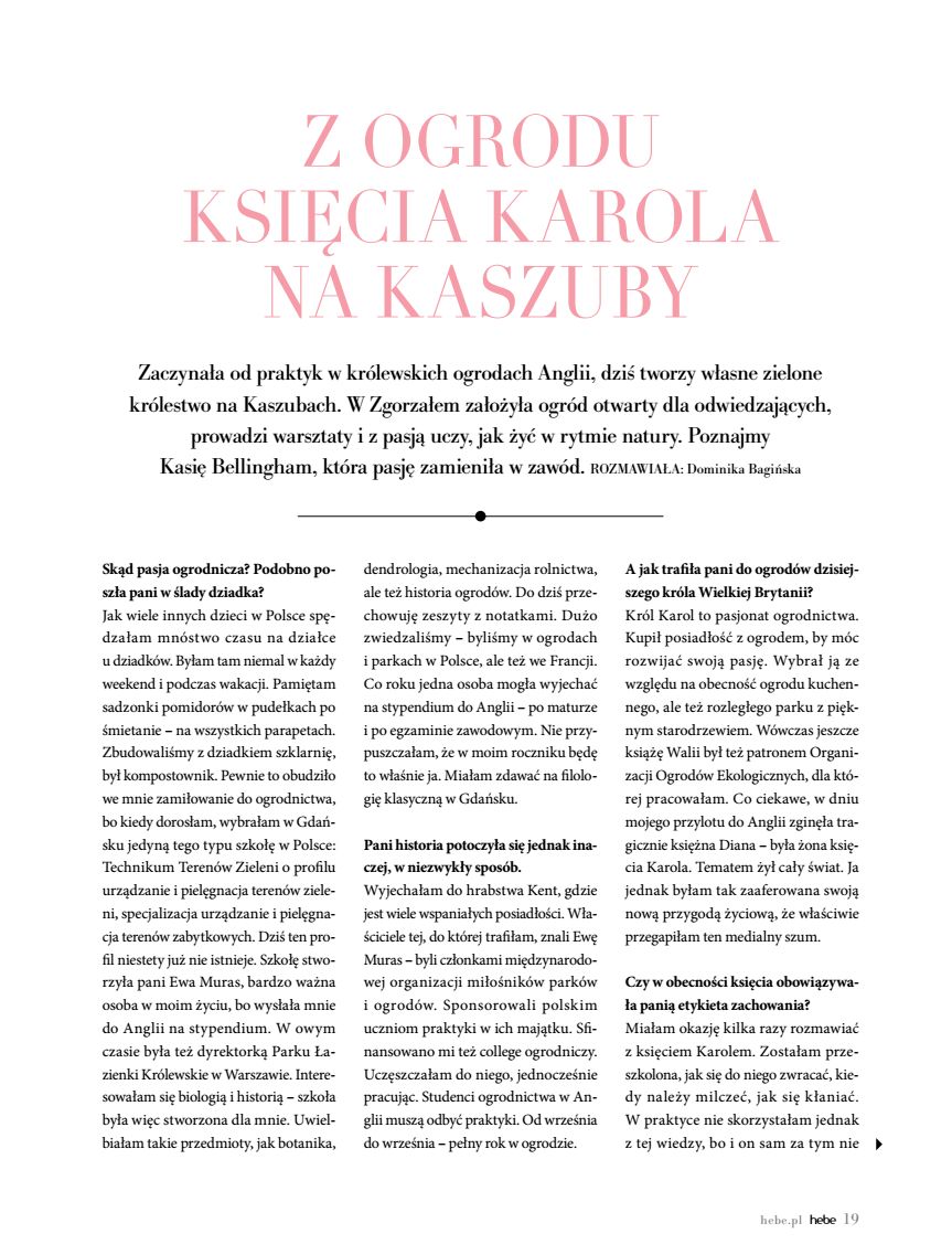 Hebe - Magazyn