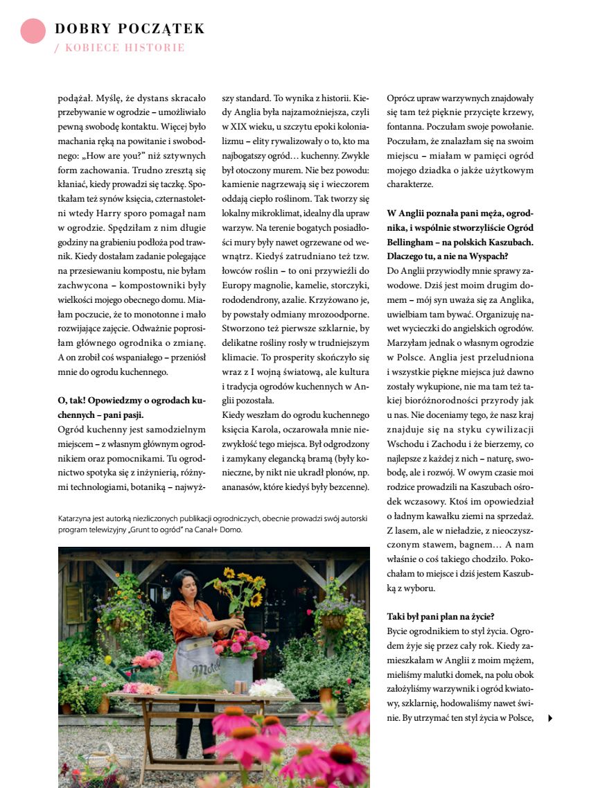 Hebe - Magazyn