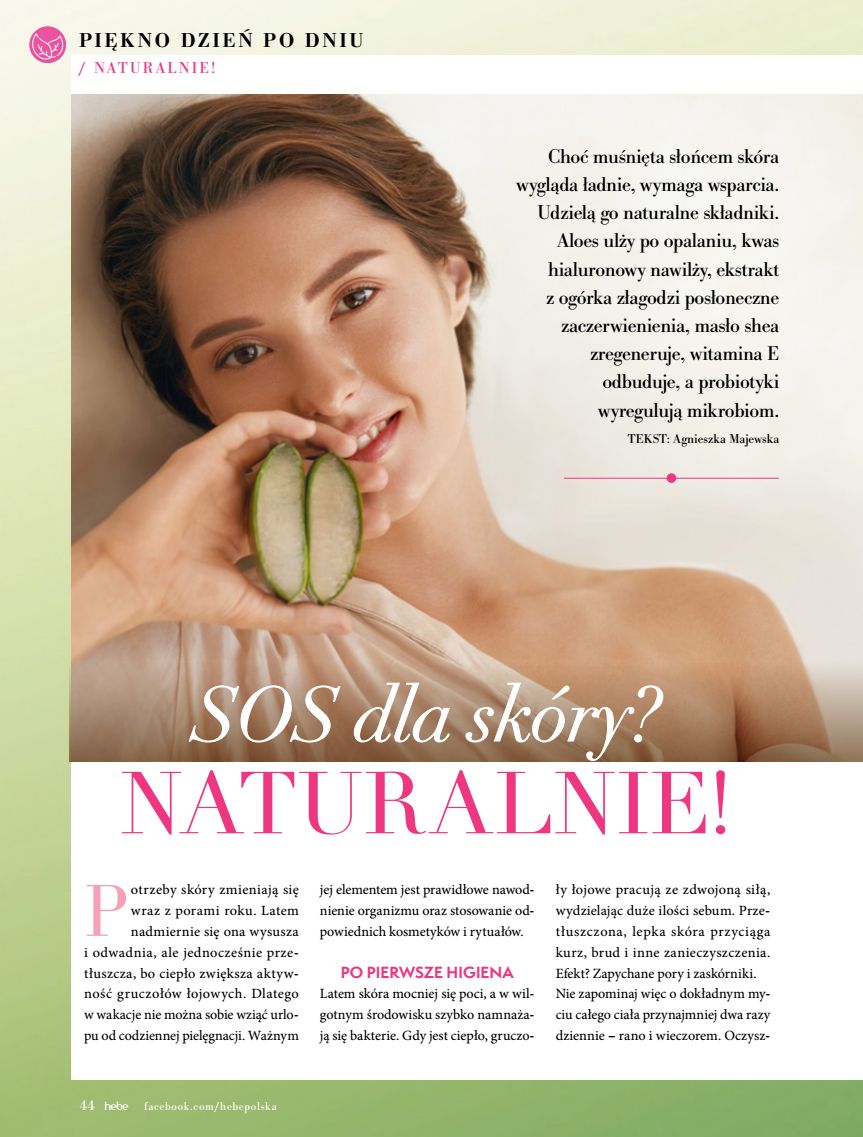 Hebe - Magazyn