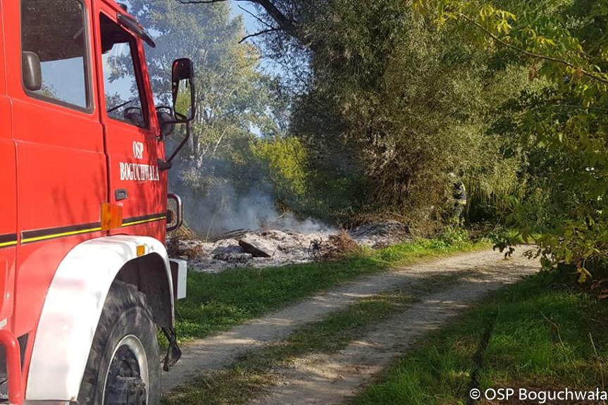 Pożar traw Pożar traw