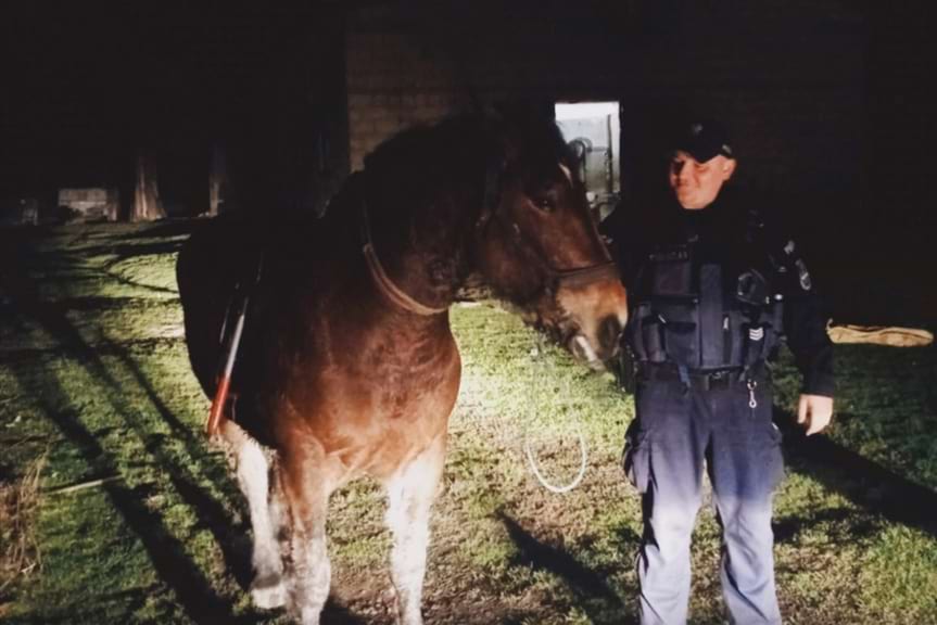 Niecodzienna interwencja policjantów Niecodzienna interwencja policjantów
