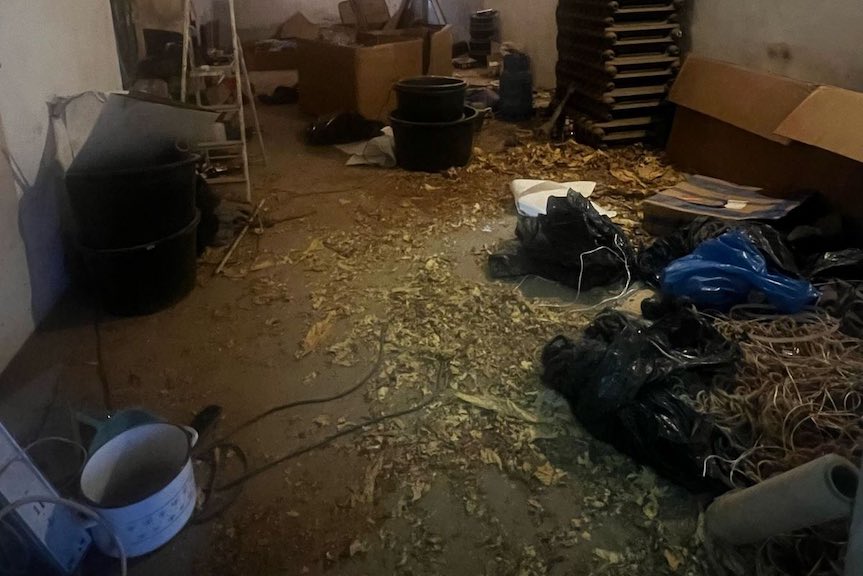 Nielegalna krajalnia tytoniu zlikwidowana. KAS przejęła ponad tonę wyrobów tytoniowych Nielegalna krajalnia tytoniu zlikwidowana. KAS przejęła ponad tonę wyrobów tytoniowych