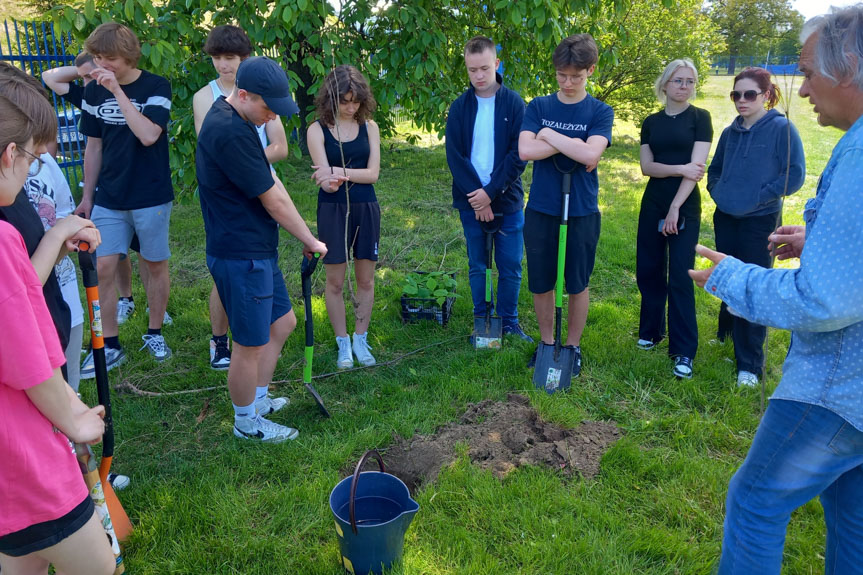 Ekoteam zasadził dęby przy zbiorniku na wodę MPWiK