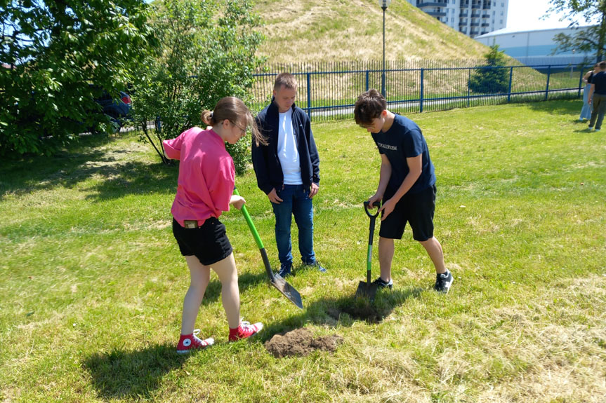 Ekoteam zasadził dęby przy zbiorniku na wodę MPWiK