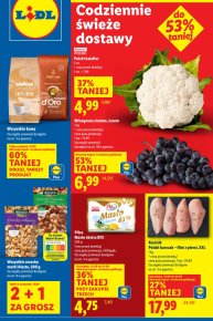 Lidl Rzeszów