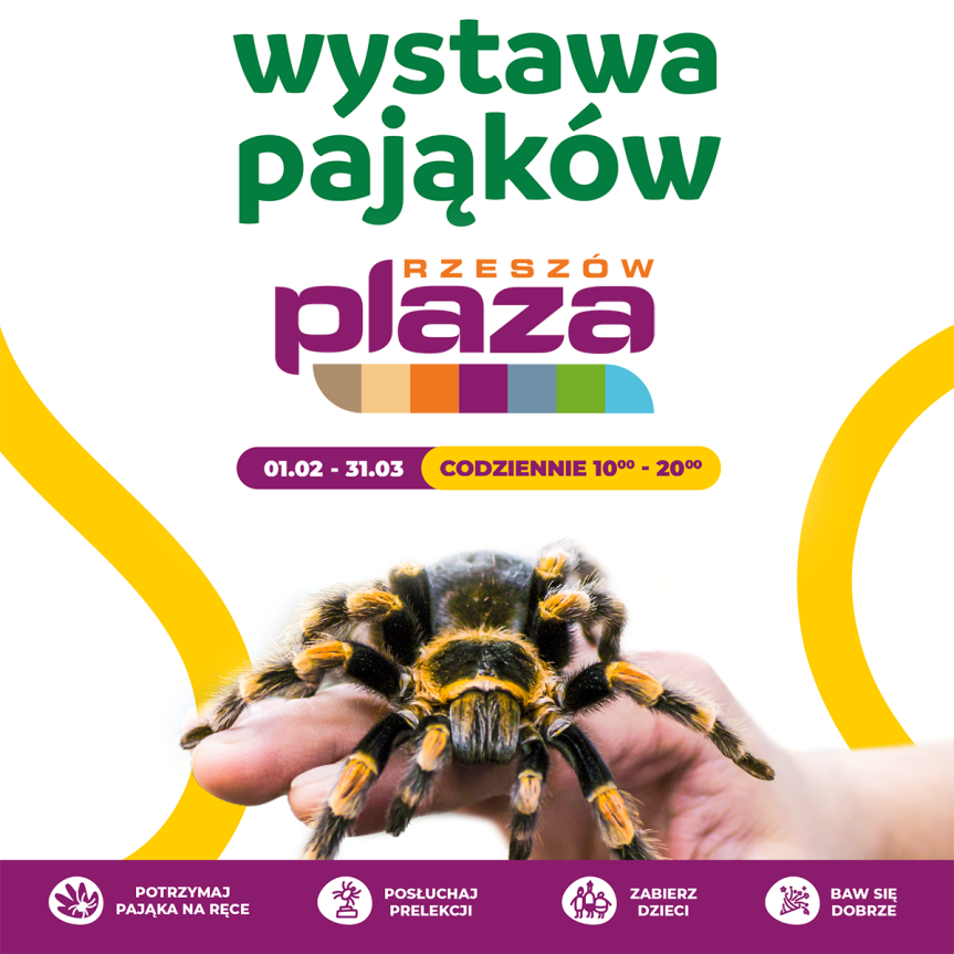 Wystawa pająków w CH Plaza Rzeszów