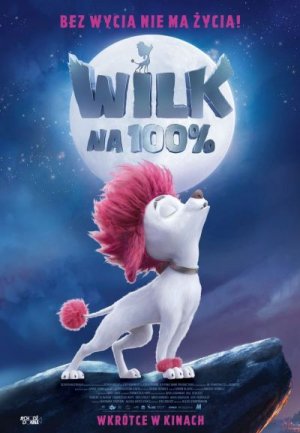 Wilk na 100%