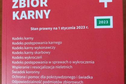 Tymczasowe aresztowanie dla 44-latka podejrzanego o oszustwo