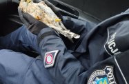 Policjanci pomogli pustułce ze złamanym skrzydłem