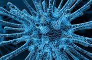 Aż 20 nowych zakażeń koronawirusem na Podkarpaciu