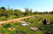 cmentarz dla zwierząt w Toruniu