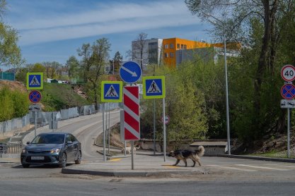 Kąkolówka. Mandat dla właścicielki psa