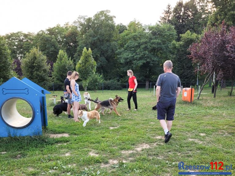 Na os. Baranówka w Rzeszowie powstanie psi park Psi Park na rzeszowskich Bulwarach