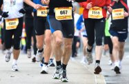 Narodowy Dzień Sportu w Rzeszowie