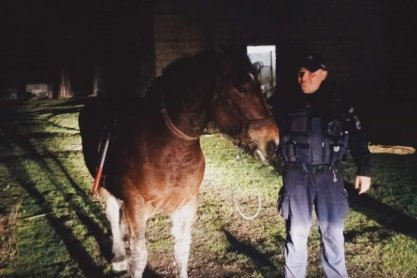 Niecodzienna interwencja policjantów