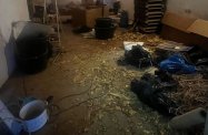 Nielegalna krajalnia tytoniu zlikwidowana. KAS przejęła ponad tonę wyrobów tytoniowych
