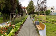 Nowy ogród kieszonkowy przy ul. Kurpiowskiej w Rzeszowie 