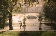 Ostrzeżenie WCZK przed burzami z gradem dla Rzeszowa