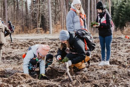 PGE posadziła ponad 4 tys. drzew w nadleśnictwie Głogów Małopolski