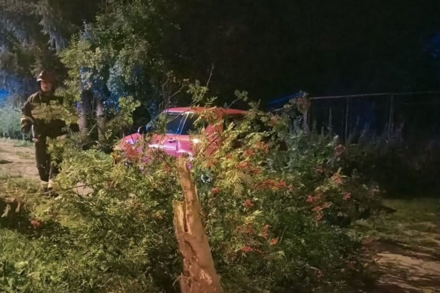 Zderzenie z drzewem Wypadek