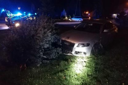 Pijany uderzył w drzewo