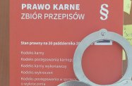 Podejrzani o naruszenie nietykalności cielesnej policjanta usłyszeli zarzuty