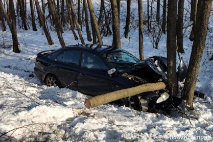 Przybówka. Zjechał z drogi, uderzył w drzewo