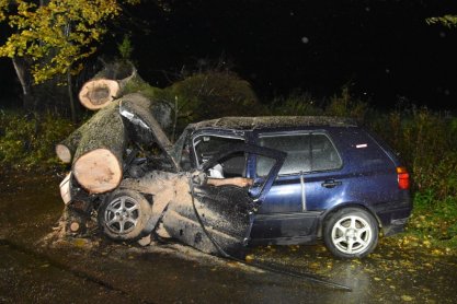 Ranny 20-latek, na jego samochód spadło drzewo
