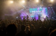 RDK poszukuje wolontariuszy do organizacji "Reggae nad Wisłokiem - Gramy dla klimatu"