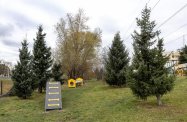 Rzeszów. Przerwa w działaniu psich parków na kilku osiedlach