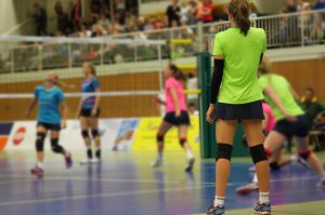 Tauron Liga: Paweł Kowal ustąpił ze stanowiska trenera Legionovii 