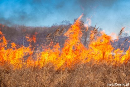 Tragiczny pożar traw w powiecie rzeszowskim. Nie żyje 84-latek