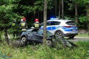 Wypadek w Budach Głogowskich. Auto wpadło do rowu