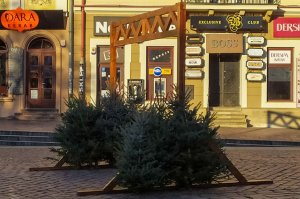 Trwa budowa świątecznego miasteczka na rzeszowskim rynku